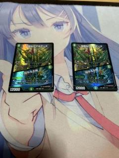 地龍仙ロマネアース　2枚