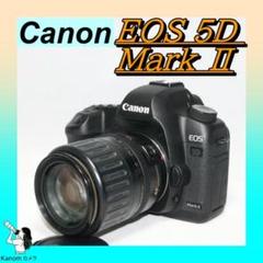 Canon 5D MarkII☆トリプルレンズ！☆フルサイズ☆スマホに転送！ Canon 5D MarkII☆トリプルレンズ！☆フルサイズ☆スマホに転送！
