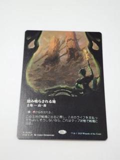 【TDM】勝利の楽士3枚セット　ボーダレス、ボーダレスFOIL 通常非FOIL 331)□ボーダーレス□《勝利の楽士/Voice of Victory》 [TDM-BF