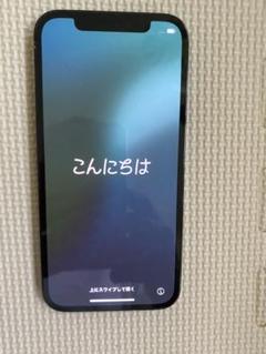 Apple iPhone 12 Pro 本体