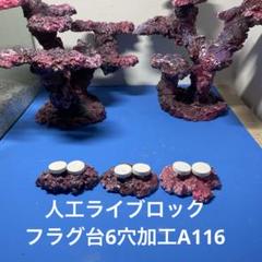 人工ライブロック M〜Lサイズおまかせ10個+おまけ1個アク抜き済み安心塗料使用 2025年最新】ライブロック 人工の人気アイテム - メルカリ