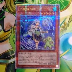 水霊媒師エリア 25th PSA10 遊戯王 クオシク