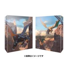 色違いの黒いリザードン 公式コレクションカードファイル