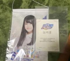 陽*様 乃木坂46 乃木フェスAfter Hours 直筆サイン入りタペストリー 公式】乃木坂46リズムフェスティバル on X: 