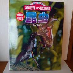 NEW WIDE 学研の図鑑 昆虫