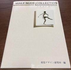 みみずく・アート・シリーズ　メール・ヌード・コレクション　視覚デザイン研究所・編