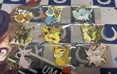 ポケモン一番くじ イーブイ&MELODISメタルチャーム 全セット