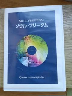Q-Wave ヒーリングDVD プロフェッサー ◇ほおじろえいいち ソウルフリーダム DVD Q-Wave ヒーリング