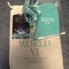 SHINee SW VI5/25 サウチェグッズ