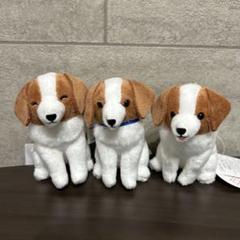 コーイケルホンディエのおでこちゃん おすわり VMCコンプリート 大谷翔平 コーイケルホンディエのおでこちゃん おすわり VMCコンプリート
