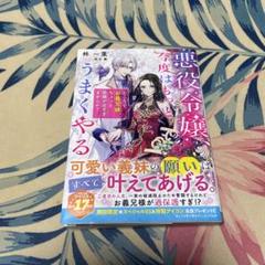 悪役令嬢、今度はもっとうまくやる ところでお義兄様、ちょっと距離が近すぎませんか