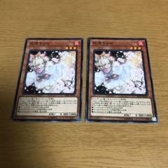 遊戯王 灰流うらら ノーマル 2枚