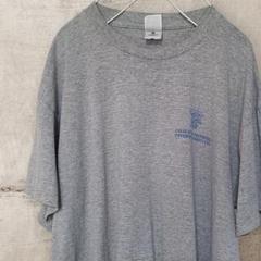 フルーツオブザルーム 古着 カレッジT ロゴ XL グレー
