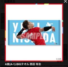 2024バレーボール男子日本代表くじ カプくじ