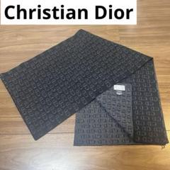 Christian Dior クリスチャン ディオール マフラー 穴あき有り