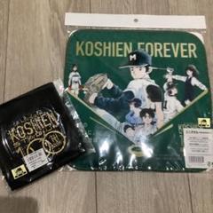 甲子園100年記念　タオルセット