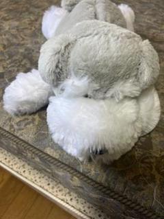 犬型ティッシュボックスカバー　グレー