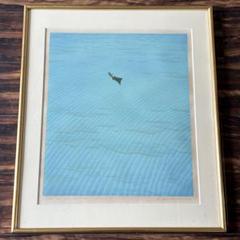 岡野浩二「リーフ Ⅱ」リトグラフ 額装 55/150 海 絵画 - メルカリ