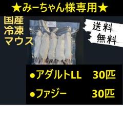 国産冷凍マウス ファジー 30匹 (送料無料一部地域発送不可