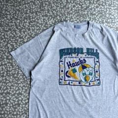 【希少XXL、アメリカ製、シングルステッチ】ヘインズボディホークスTシャツ古着