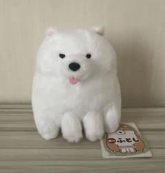 柴のふとし STコンプリート