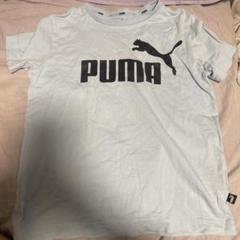プーマ子供用Tシャツ半袖　140センチ