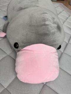 でっかい！　カモノハシ2　もちふわぬいぐるみ　ぐれ　やわ　こげ Amazon.co.jp: でっかい！ カモノハシ2 もちふわぬいぐるみ ぐれ