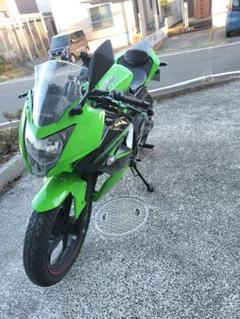 2025年最新】ninja250sl カウルの人気アイテム - メルカリ