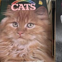 猫の洋書他3冊セット 2025年最新】猫 洋書の人気アイテム - メルカリ