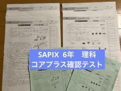 ㉒に　書き込み処理済み❣️SAPIX サピックス　６年　2023年度 テスト Amazon.co.jp: サピックス SAPIX 小学6年生 一般常識 算数 国語