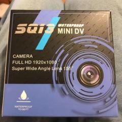 Go Pro