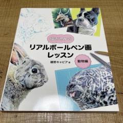 磯野キャビア ボールペン画集ZOO 磯野キャビアボールペン画集ZOO | 磯野キャビア |本 | 通販 | Amazon