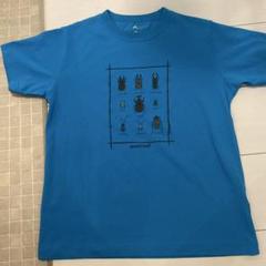 【美品】mont-bell 昆虫プリント Tシャツ 150