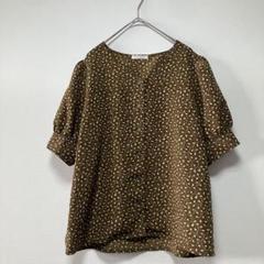 Te chichi ブラウス　トップス　ブラウン　半袖　レディース