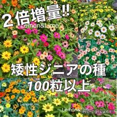☆m☆断捨離中☆プロフご確認ください の出品した商品 - メルカリ