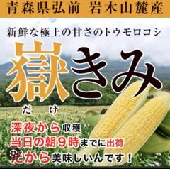 青森県岩木山獄地区産 トウモロコシ 極上の甘さ（真空パック） 青森県岩木山産獄地区産極上の甘さトウモロコシ（獄キミ）真空