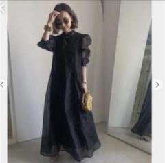 アメリヴィンテージ 完売MEDI FOREST EMBROIDERY DRESS