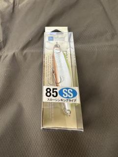 rayea85ss-01.jpg