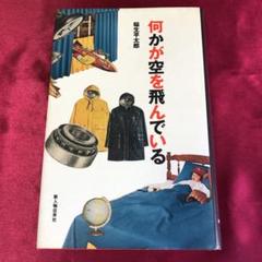 何かが空を飛んでいる