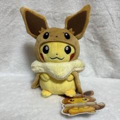 ポケモンセンター イーブイのポンチョを着たピカチュウ