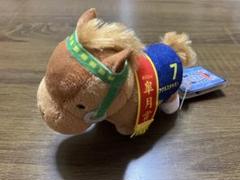 アグネスタキオン 皐月賞 ぬいぐるみ