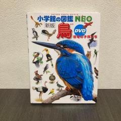 鳥 図鑑 小学館 鳥DVD 小学館の図鑑NEO〔新版〕鳥 | 柚木修, 水谷高英, 上田恵介