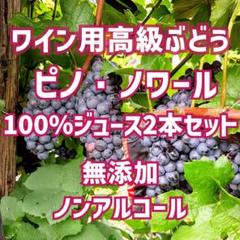 高級赤ワイン用品種「ピノ・ノワール」100%ジュース 6本セット 楽天市場】葡萄ジュースセット 2種 180ml×10本 ケルナー ピノ
