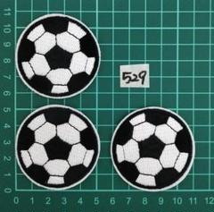 レア アルゼンチン代表サッカーナショナルチーム アイロン
