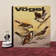 2025年最新】図鑑 鳥 洋書の人気アイテム - メルカリ