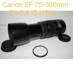 一眼レフカメラ☆手ぶれ補正レンズ☆Canon EF 75-300mm IS