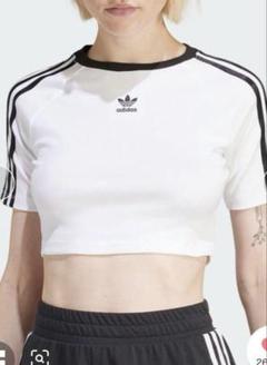 adidas ストライプ クロップドTシャツ　M