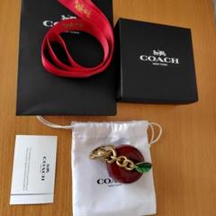 2025年最新】coach キーホルダー リンゴの人気アイテム - メルカリ