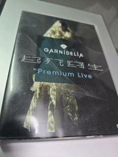 GARNiDELiA 起死回生 Premium live DVD フォトブック GARNiDELiA 起死回生 Premium live DVD フォトブック - メルカリ