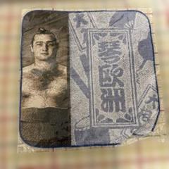 琴欧洲 タオル　レア